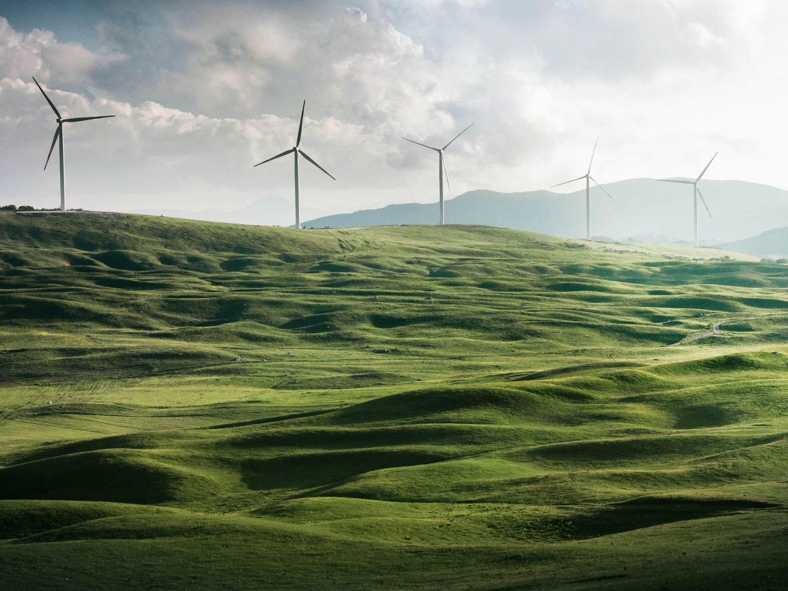 enviroment