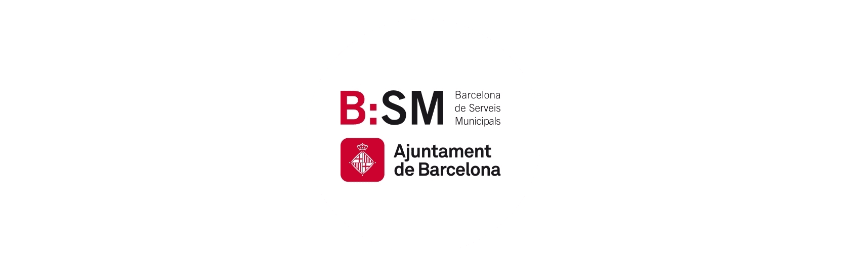 bsmLOGO